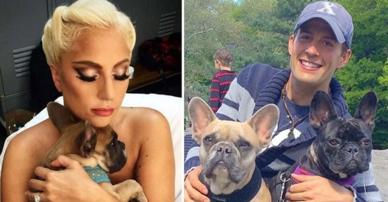 Uwarashe umurinzi w'imbwa za Lady Gaga yahawe igihano gikomeye