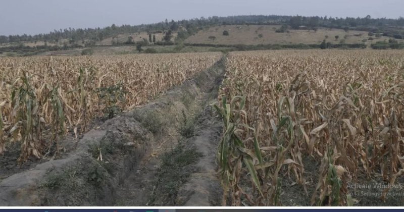 Akarere ka Nyagatare kaje ku mwanya wa mbere mu turere dufite ibyago byinshi byo kwibasirwa n'imihindagurikire y'ibihe.