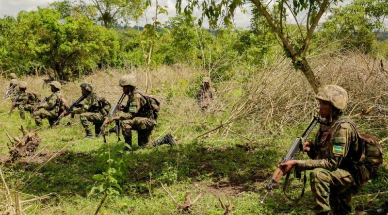 RDC: Ambasaderi Karega yavuze ku mirwano yavuzwe hagati ya RDF na FARDC