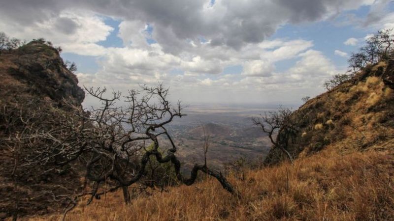 Uganda: Imfungwa 200 zatorotse gereza ziba n'imbunda za Leta