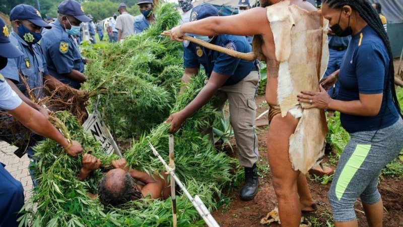 Umwami Khoisan yatawe muri yombi azira guhinga urumogi ku biro bya Perezida Ramaphosa
