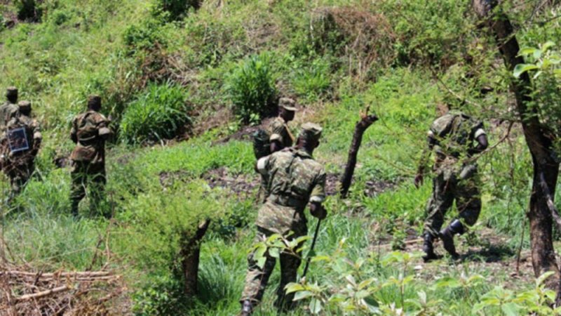 Lt Gen.Muhoozi yateguje Interahamwe ziri muri RDC kwakira umuriro mu kizitwa "Operation Rudahigwa"