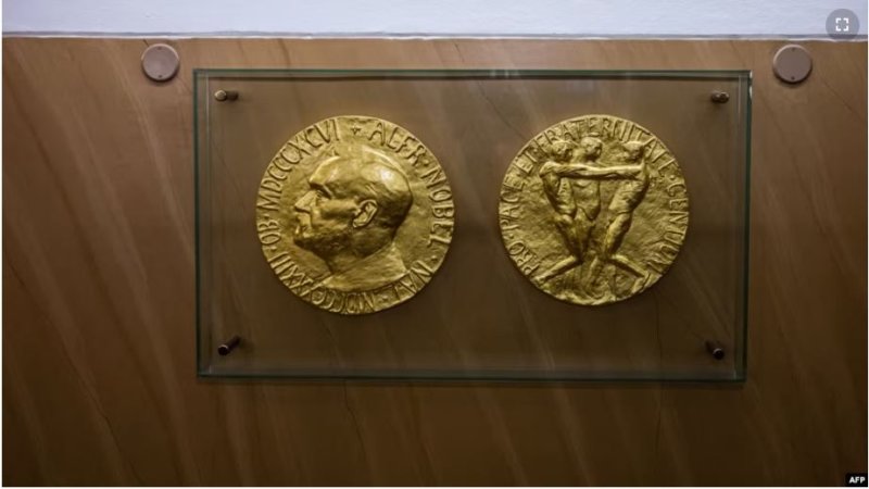 Ibihembo cyitiriwe Nobel 2024 Cyahawe babiri bakora mu buvuzi