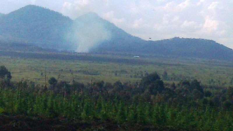Rubavu: Abagizi ba nabi baturutse muri RDC bica umunyarwanda wari uragiye ihene