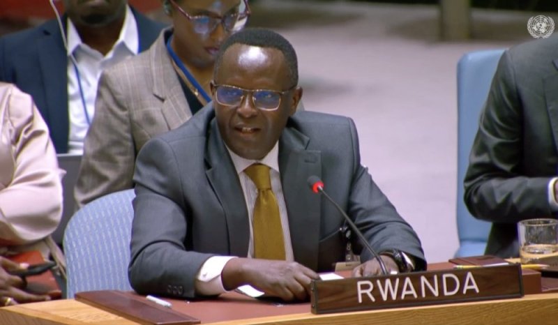 U Rwanda rwavuze ko FDLR igihari, gukuraho ingamba z'ubwirinzi kwaba ari ugusubiramo ikosa ryakozwe mu 1994