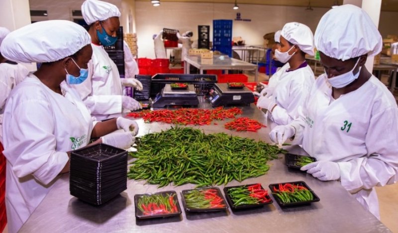 Ibikomoka ku buhinzi byinjirije u Rwanda arenga miliyari 14,1 Frw mu minsi itanu