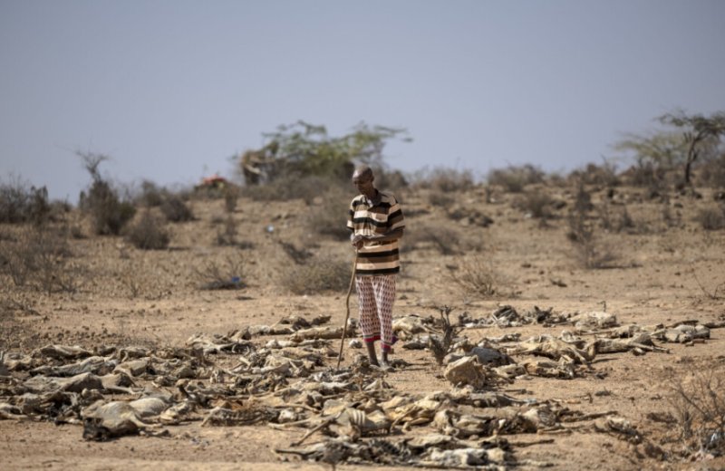 Kenya: OMS yatangaje ko amapfa yugarije uturere 10