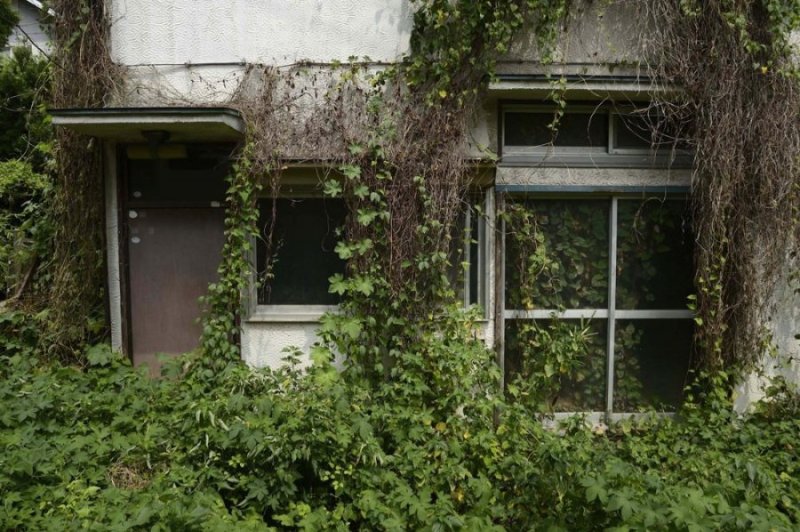Impamvu inzu zidatuwe mu Buyapani zikomeje kwiyongera 