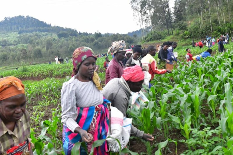 Leta yahaye ifumbire abahinzi bo hirya no hino mu Rwanda