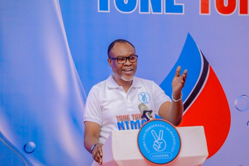 Tanzania: Ishyaka Chadema ryashinje Leta gufunga Umunyamabanga waryo wungirije