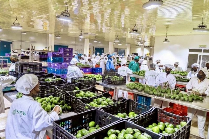 Ibikomoka ku buhinzi byinjirije u Rwanda miliyoni 13,9$ mu cyumweru kimwe