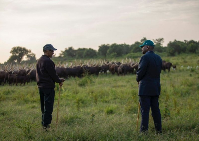Perezida Kagame yagabiye inka umuhungu wa Museveni