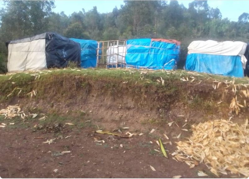 Muhanga: Yagwiriwe n'ubwanikiro bw'ibigori yarindaga arapfa
