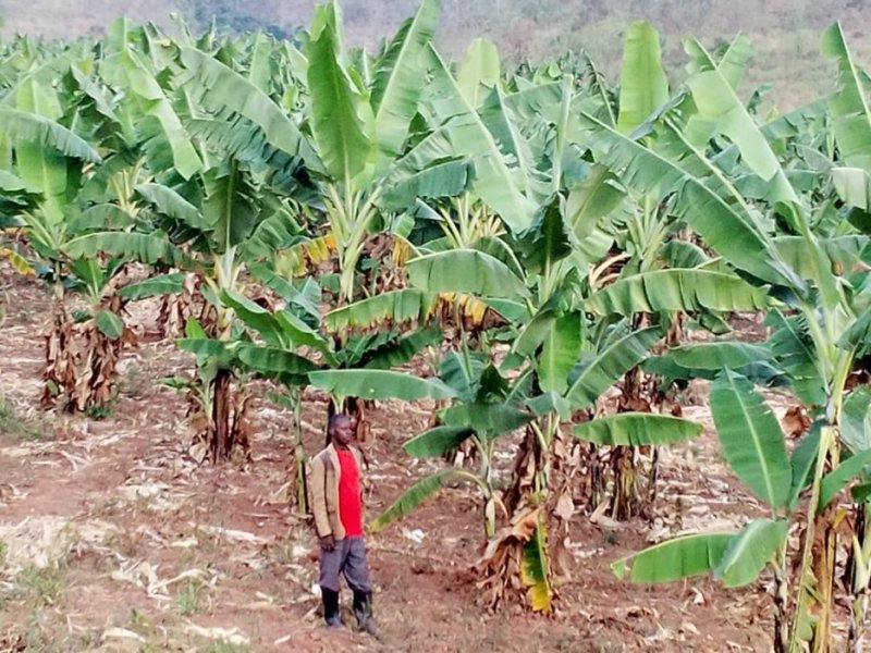 Kayonza: Mu ntambara y'amahugu arwana n'inzego z'ibanze, Pascal Mutumwa aratabaza Perezida Kagame