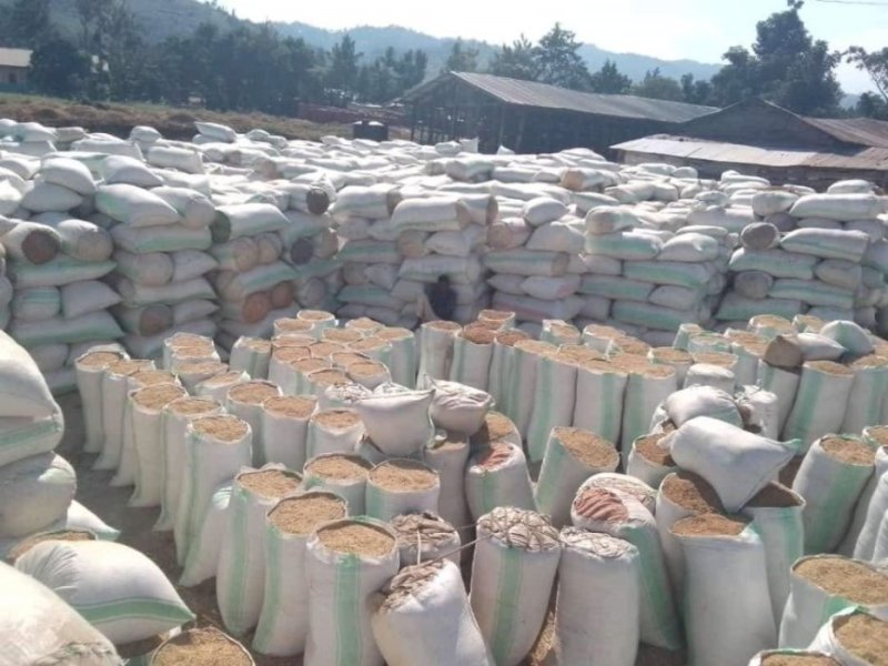 Umuceri wari waraheze ku mbuga mu Bugarama ugiye kugurwa