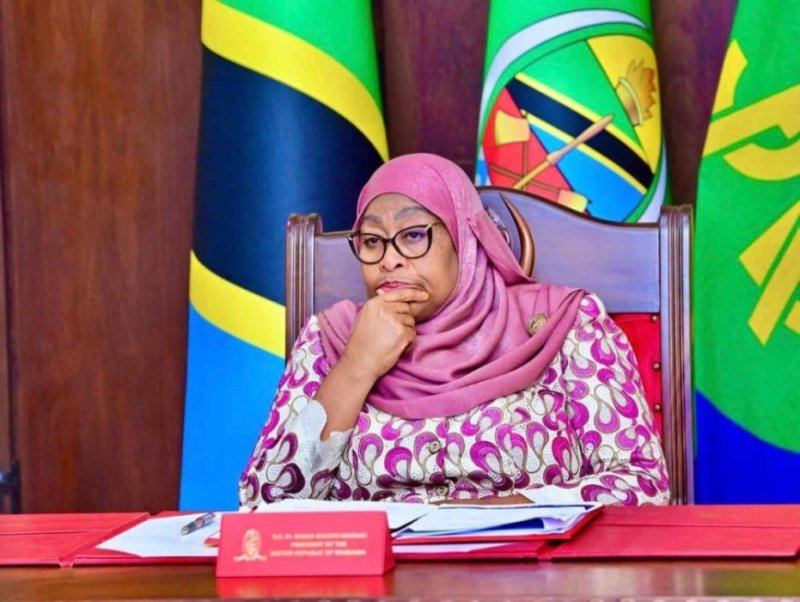 Perezida Samia Suluhu Hassan ashobora gukurikiranwa n'Urukiko Mpuzamahanga Mpanabyaha